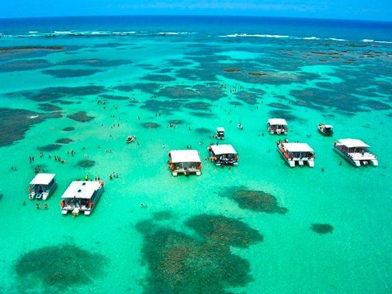Passeio às Piscinas Naturais de Maragogi